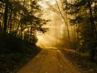 Comienza la trayectoria más importante de tu vida.